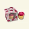 Cake pop Boxes