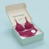 custom-printed-lingerie-boxes