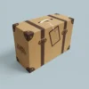 logo-printed-suitcase-boxes-packaging-boxes
